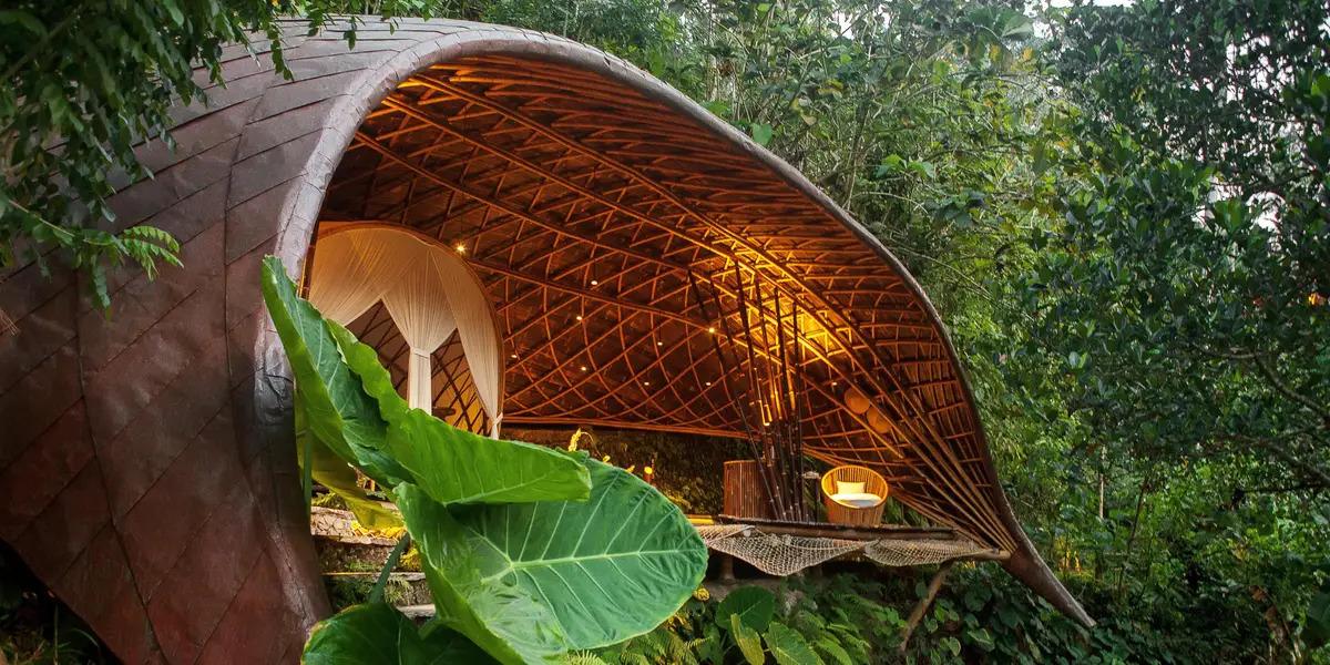 Organic bamboo structure in a misty Meghalaya jungle